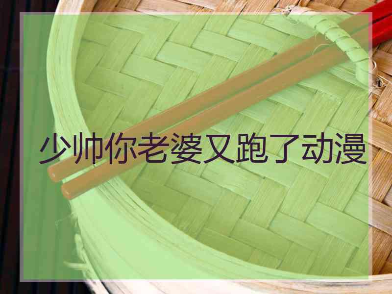 少帅你老婆又跑了动漫