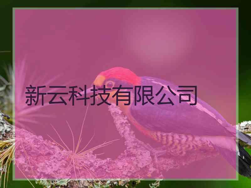 新云科技有限公司
