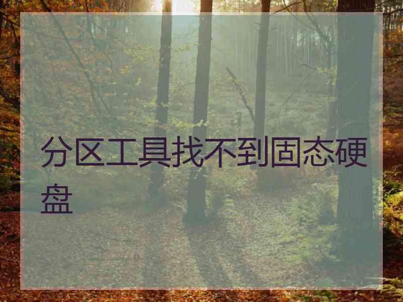 分区工具找不到固态硬盘