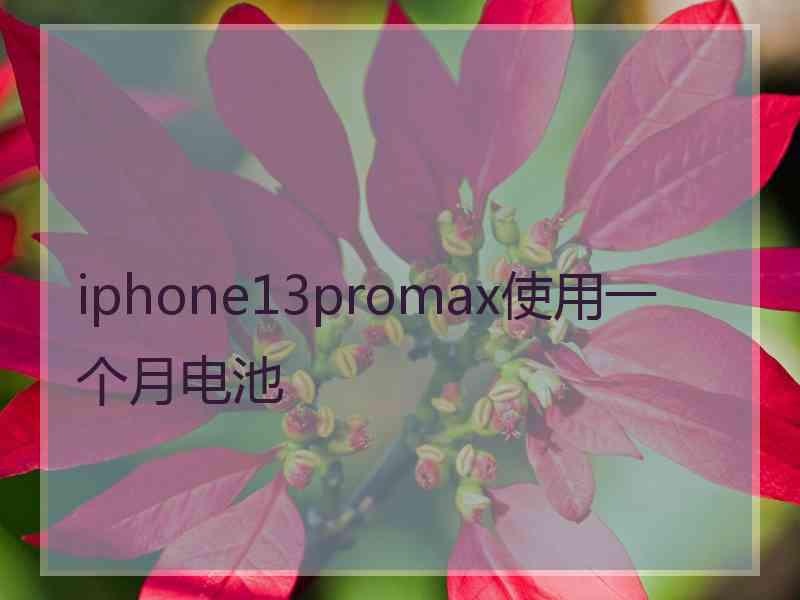 iphone13promax使用一个月电池