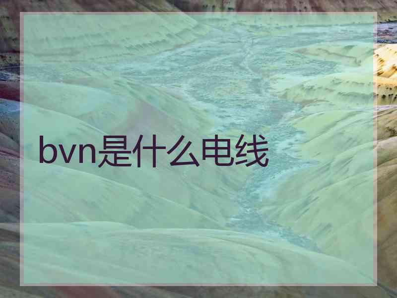 bvn是什么电线