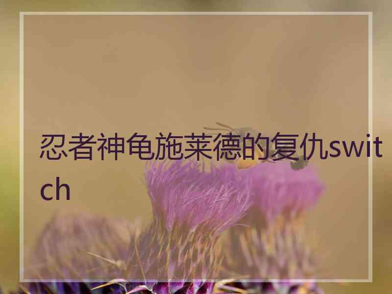 忍者神龟施莱德的复仇switch