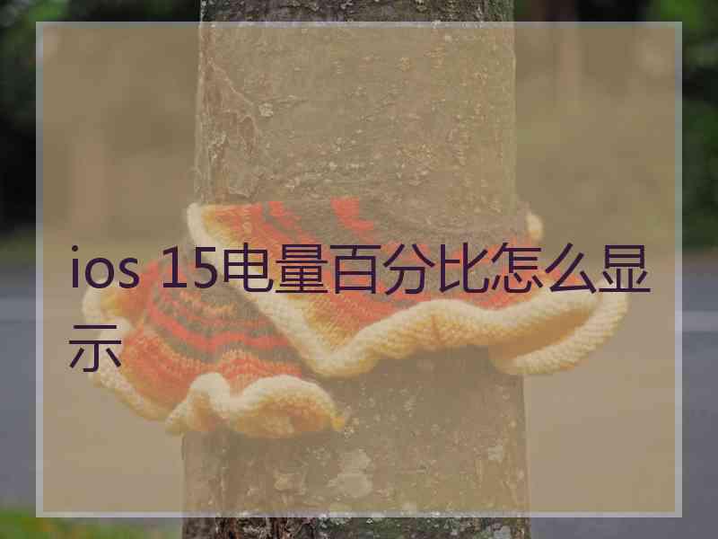 ios 15电量百分比怎么显示