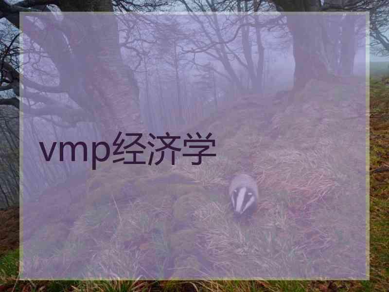 vmp经济学