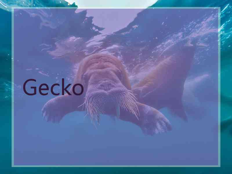 Gecko