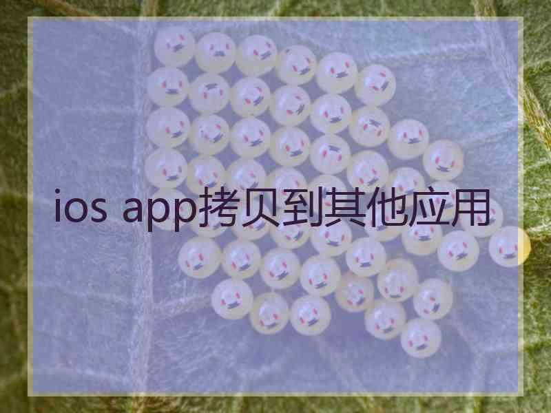 ios app拷贝到其他应用