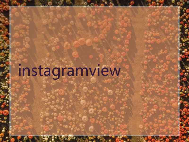 instagramview