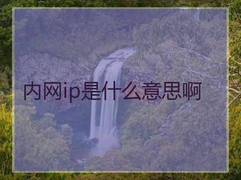 内网ip是什么意思啊