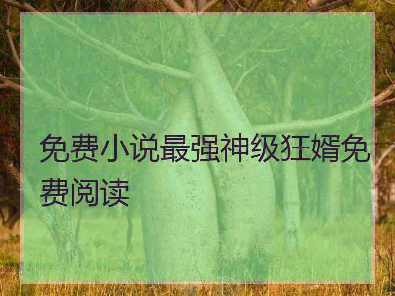 免费小说最强神级狂婿免费阅读