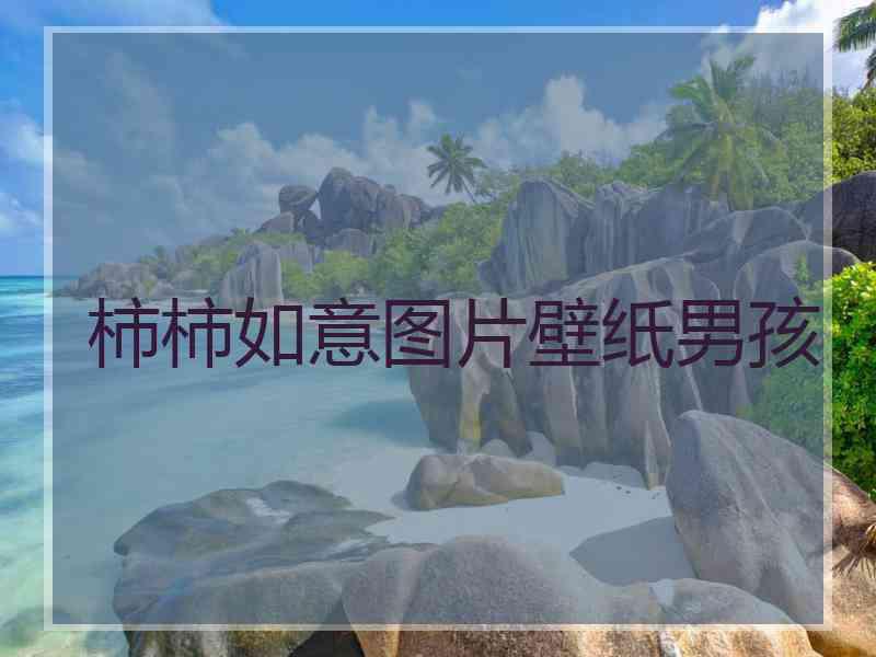 柿柿如意图片壁纸男孩