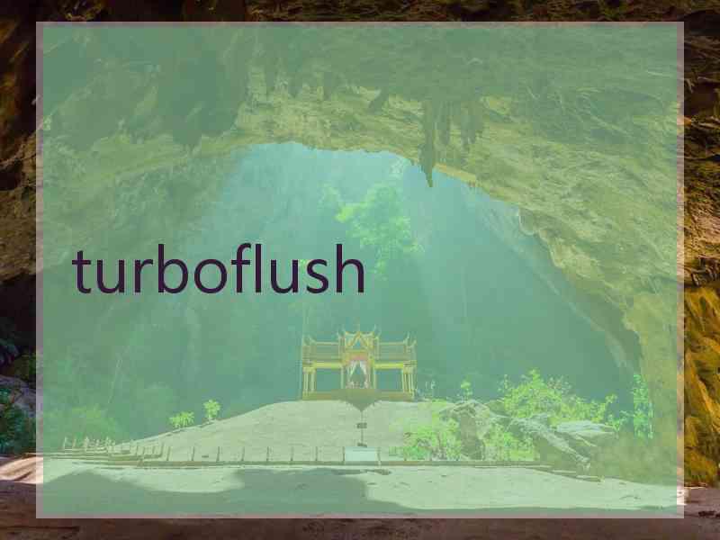 turboflush