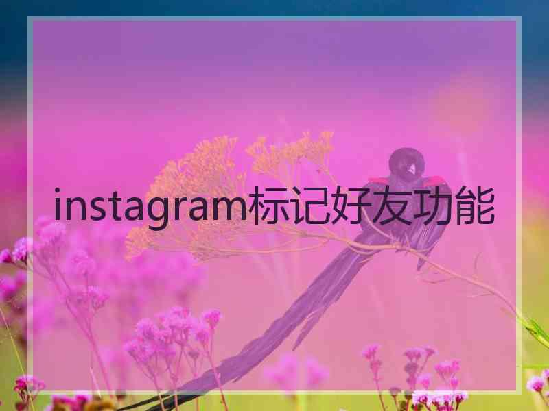 instagram标记好友功能