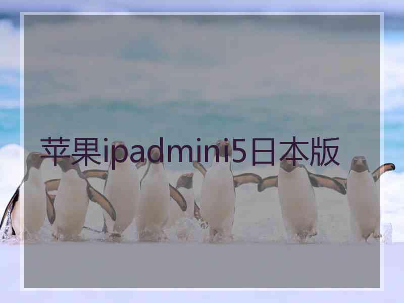 苹果ipadmini5日本版