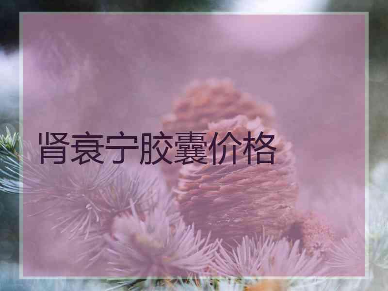 肾衰宁胶囊价格