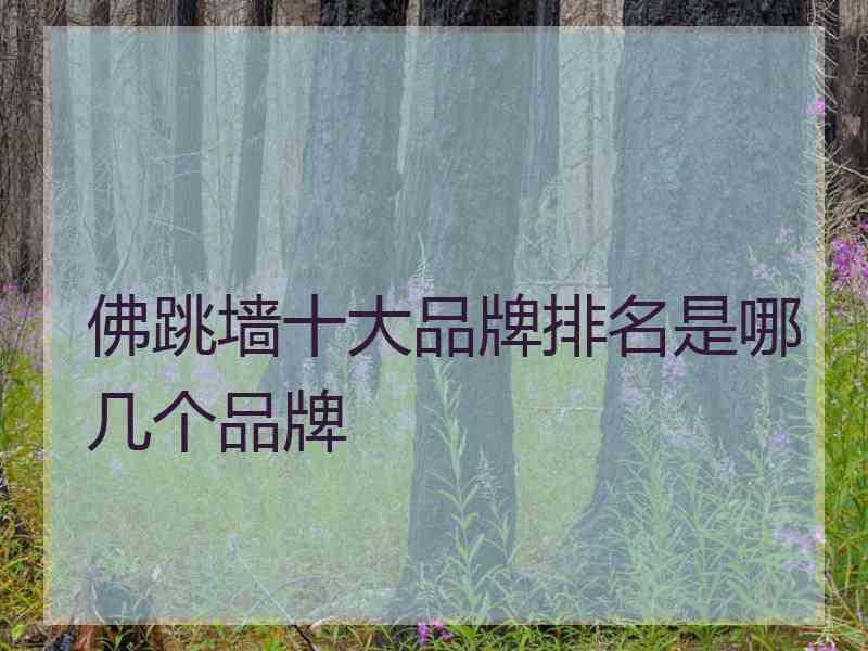 佛跳墙十大品牌排名是哪几个品牌