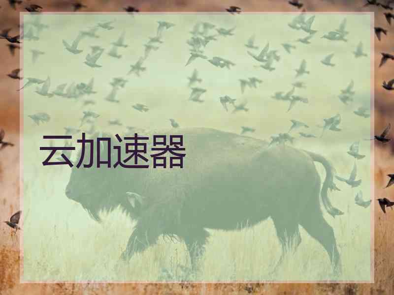 云加速器