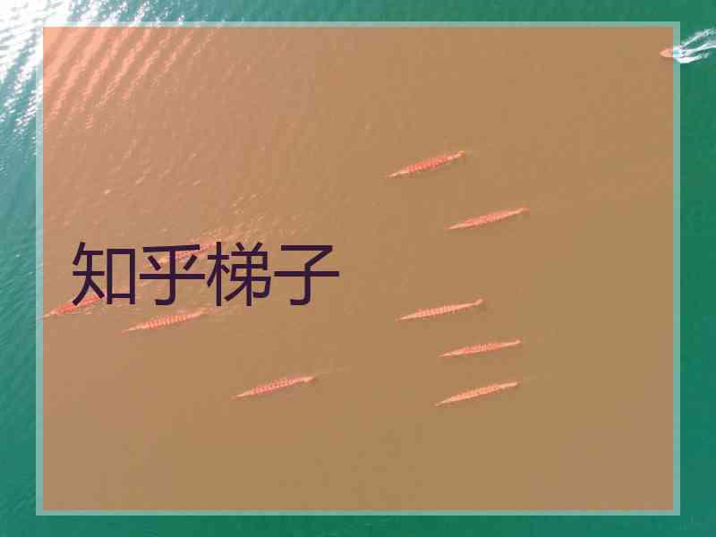 知乎梯子