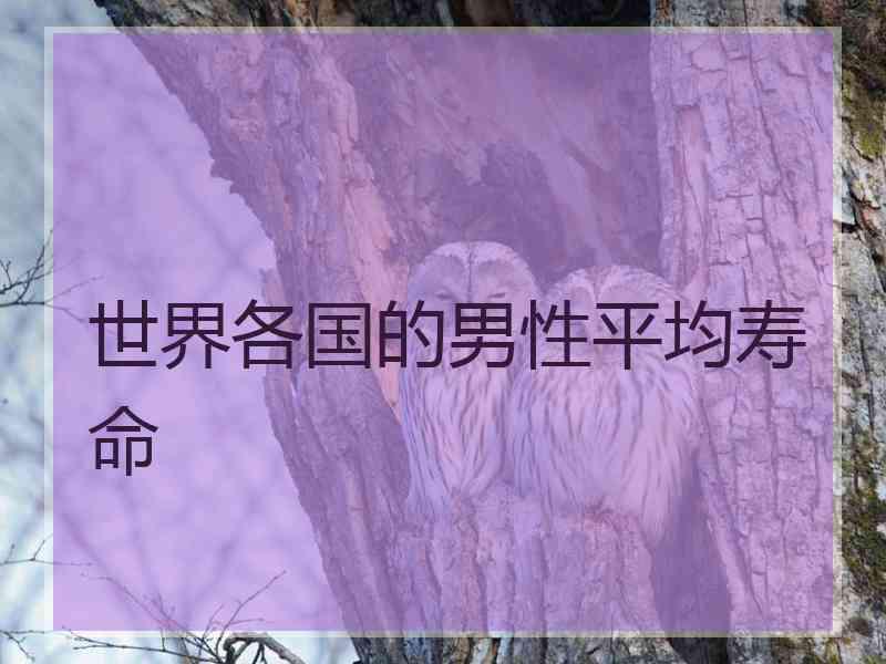 世界各国的男性平均寿命