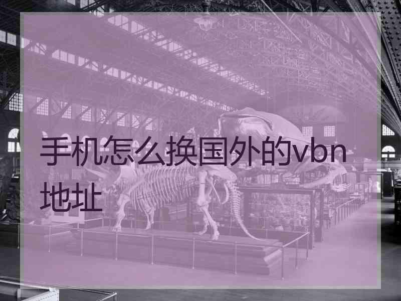 手机怎么换国外的vbn地址