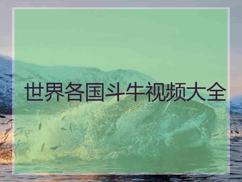 世界各国斗牛视频大全