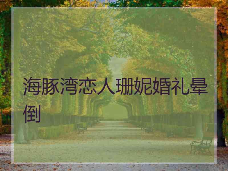 海豚湾恋人珊妮婚礼晕倒