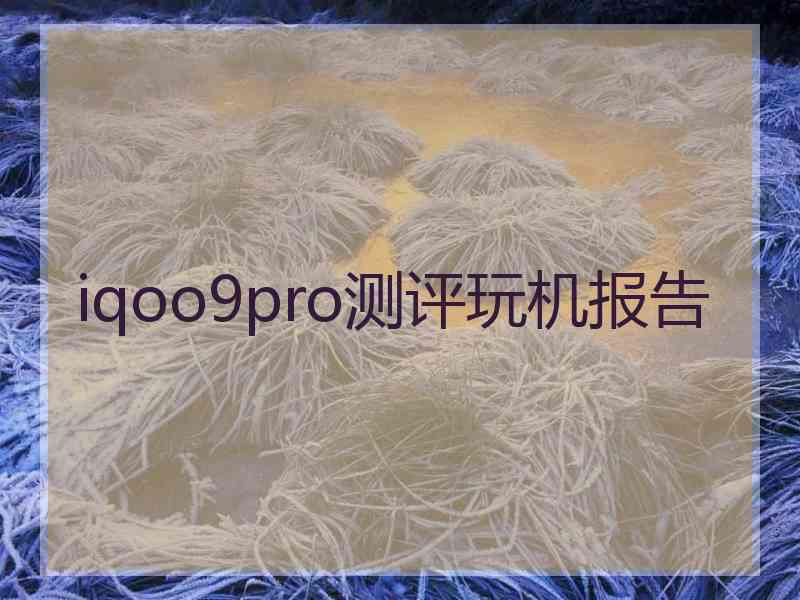 iqoo9pro测评玩机报告