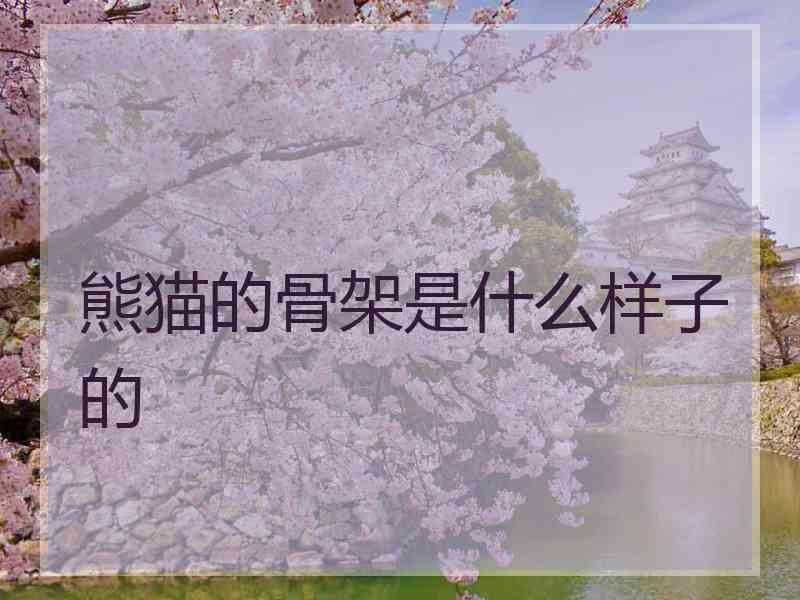 熊猫的骨架是什么样子的