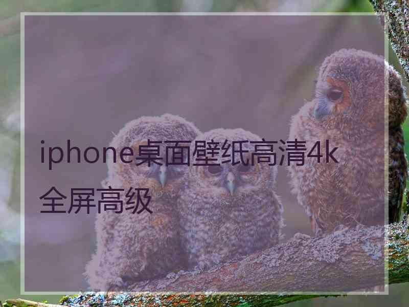 iphone桌面壁纸高清4k全屏高级