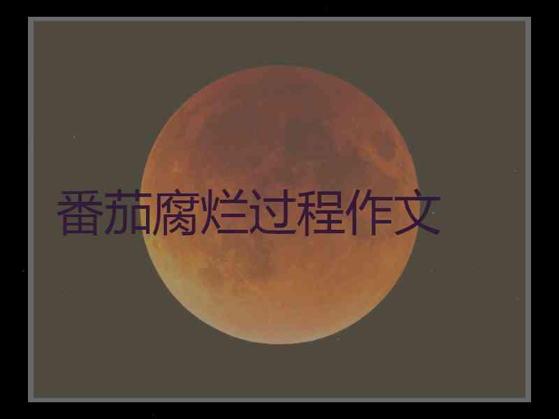 番茄腐烂过程作文