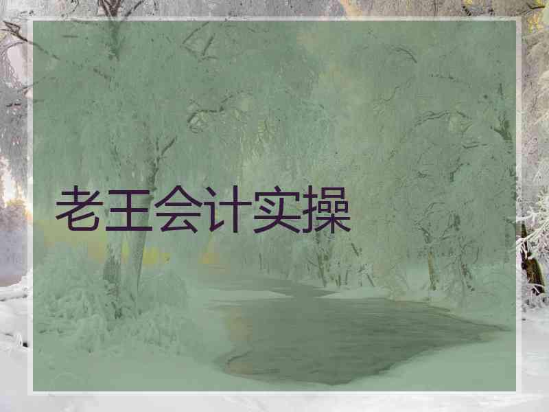 老王会计实操