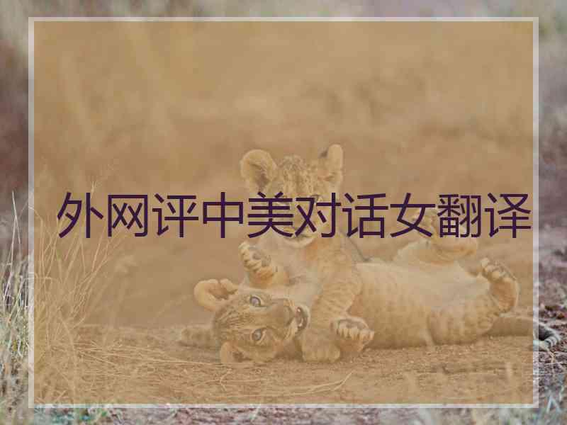 外网评中美对话女翻译