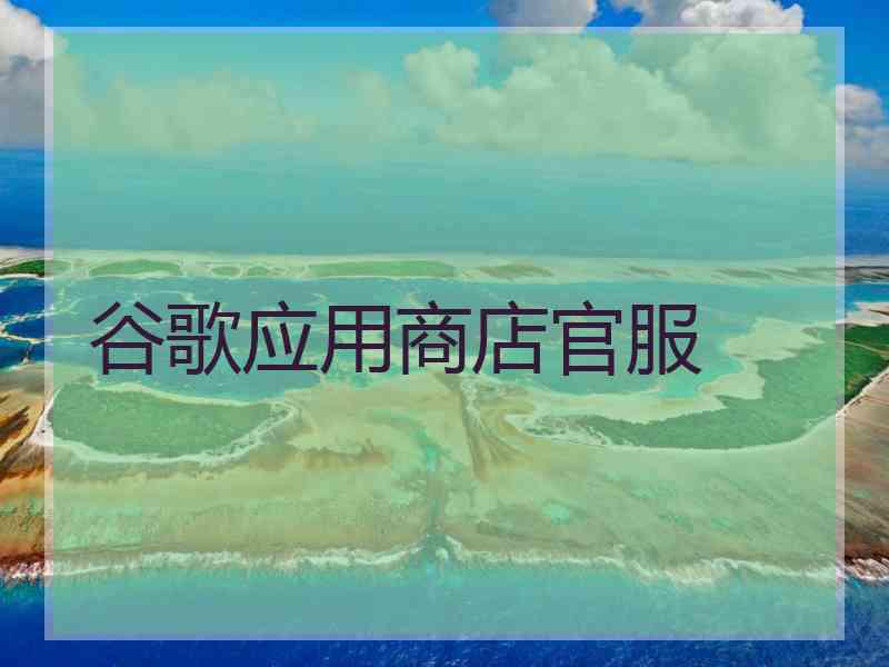 谷歌应用商店官服