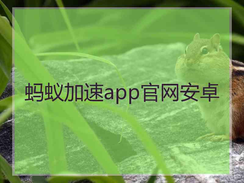 蚂蚁加速app官网安卓