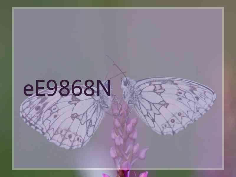 eE9868N