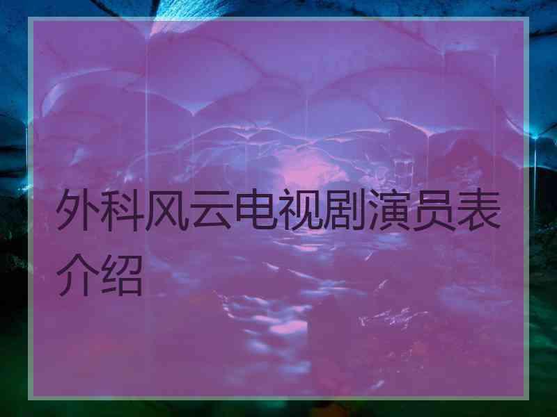 外科风云电视剧演员表介绍