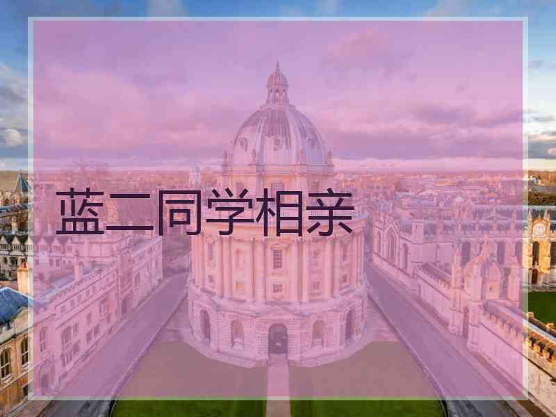 蓝二同学相亲