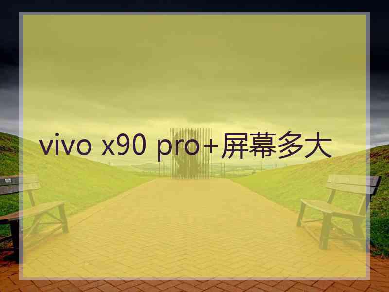 vivo x90 pro+屏幕多大