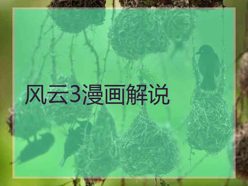 风云3漫画解说