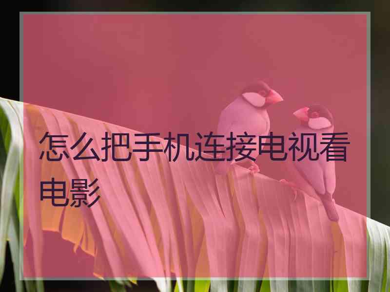 怎么把手机连接电视看电影