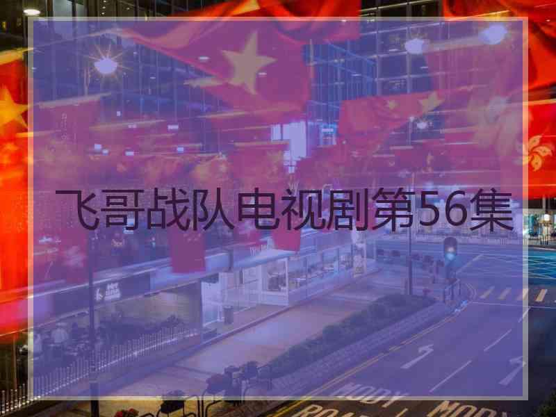 飞哥战队电视剧第56集