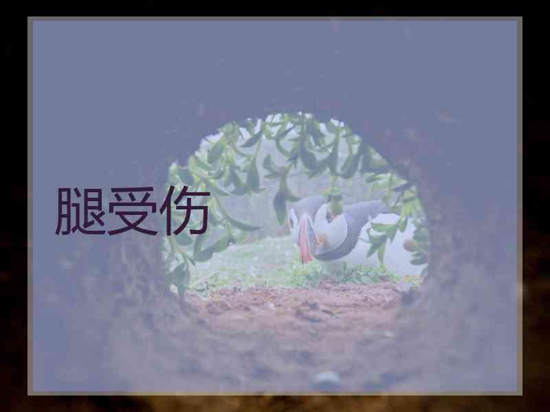 腿受伤
