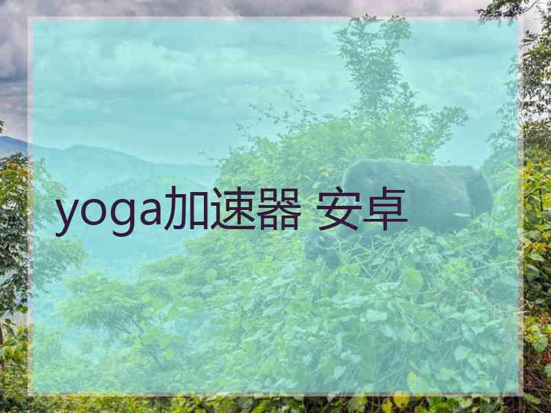 yoga加速器 安卓