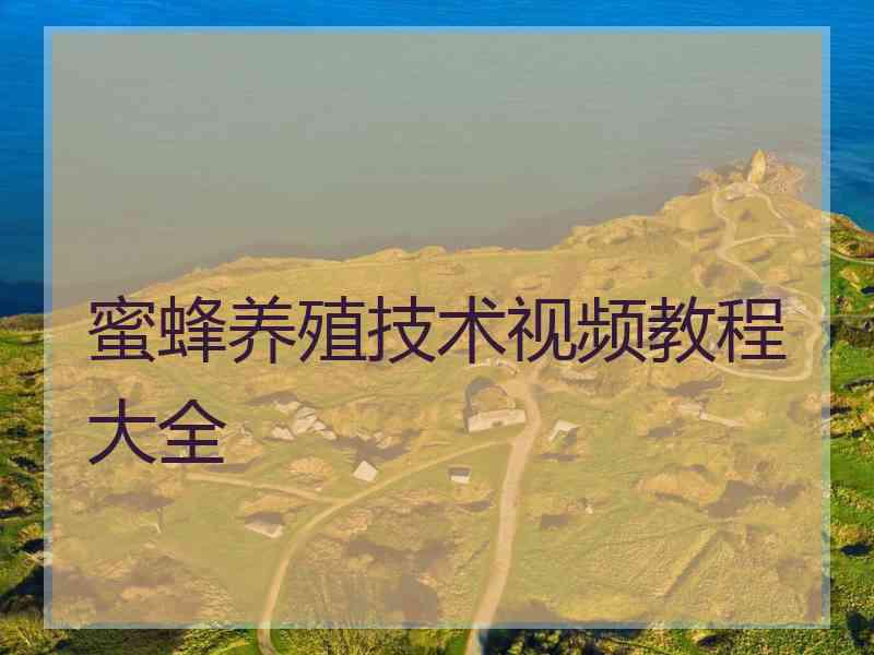 蜜蜂养殖技术视频教程大全