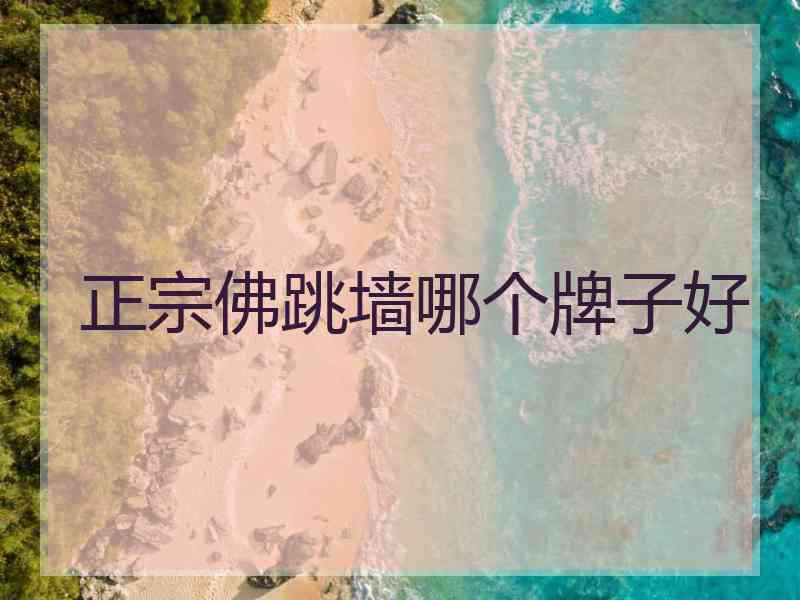 正宗佛跳墙哪个牌子好