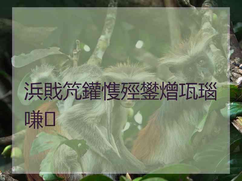 浜戝竼鑵愯殌鐢熷瓨瑙嗛