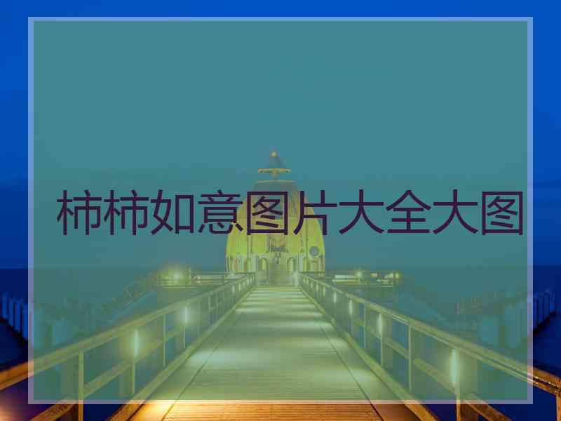 柿柿如意图片大全大图