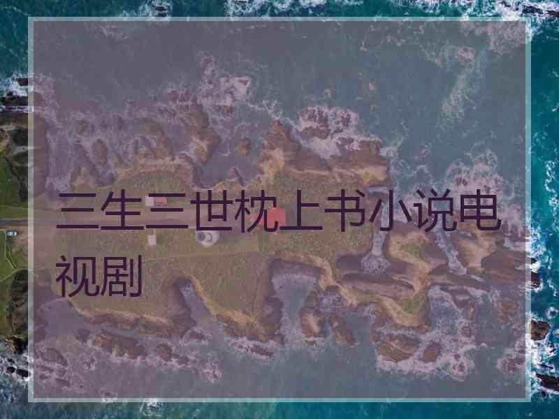 三生三世枕上书小说电视剧