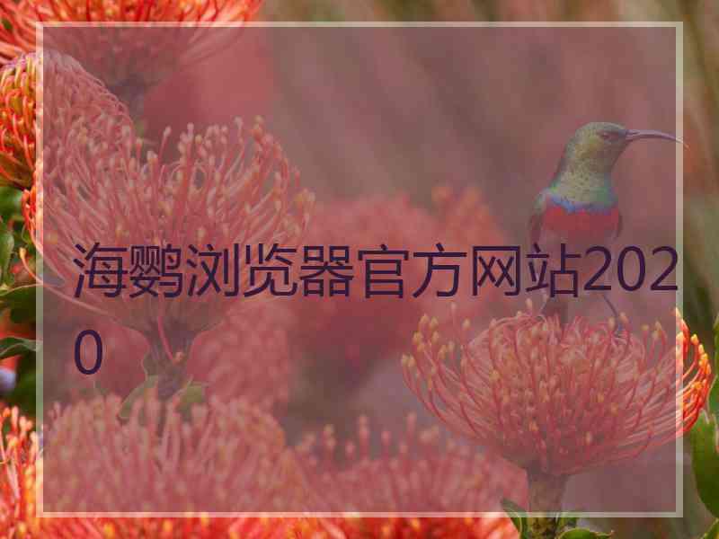 海鹦浏览器官方网站2020