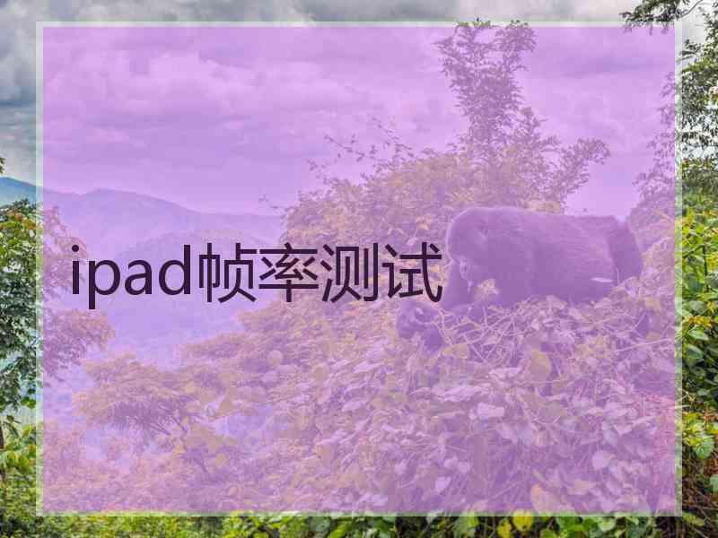 ipad帧率测试