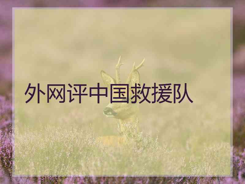外网评中国救援队
